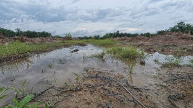 Yağmur suyuyla kaplanmış temiz tarla arazisinin çevresindeki panoramik manzara.