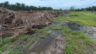 Yağmur suyuyla kaplanmış temiz tarla arazisinin çevresindeki panoramik manzara.