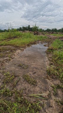 Yağmur suyuyla kaplanmış temiz tarla arazisinin çevresindeki panoramik manzara.