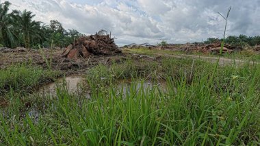 Yağmur suyuyla kaplanmış temiz tarla arazisinin çevresindeki panoramik manzara.