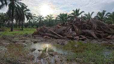 Yağmur suyuyla kaplanmış temiz tarla arazisinin çevresindeki panoramik manzara.