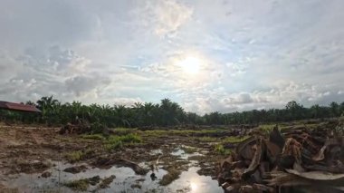 Yağmur suyuyla kaplanmış temiz tarla arazisinin çevresindeki panoramik manzara.