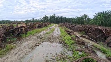 Yağmur suyuyla kaplanmış temiz tarla arazisinin çevresindeki panoramik manzara.