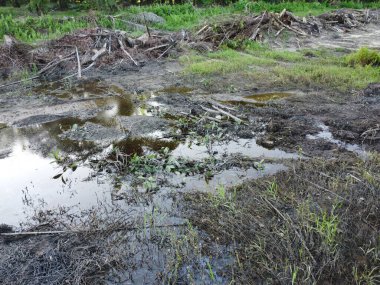 Temiz palmiye yağı tarlası çevresindeki hava manzarası yağmur suyuyla dolduktan sonra....