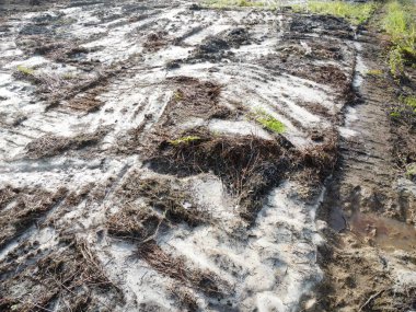Temiz palmiye yağı tarlası çevresindeki hava manzarası yağmur suyuyla dolduktan sonra....