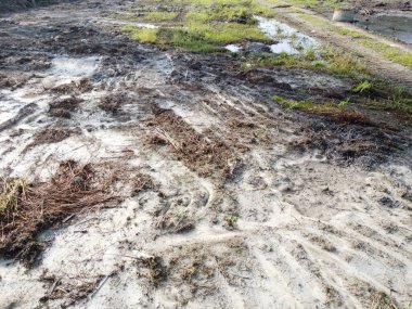 Temiz palmiye yağı tarlası çevresindeki hava manzarası yağmur suyuyla dolduktan sonra....