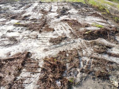 Temiz palmiye yağı tarlası çevresindeki hava manzarası yağmur suyuyla dolduktan sonra....