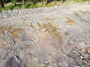 Temiz palmiye yağı tarlası çevresindeki hava manzarası yağmur suyuyla dolduktan sonra....