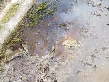 Temiz palmiye yağı tarlası çevresindeki hava manzarası yağmur suyuyla dolduktan sonra....