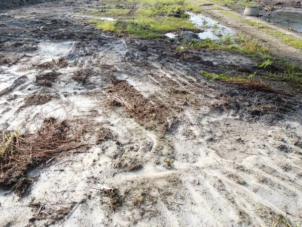 Temiz palmiye yağı tarlası çevresindeki hava manzarası yağmur suyuyla dolduktan sonra....