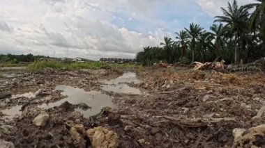 Yağmur suyuyla kaplanmış temiz tarla arazisinin çevresindeki panoramik manzara.