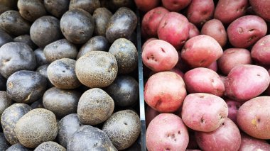 Ekran ve satış için yakın çekim renkli patates yığını.