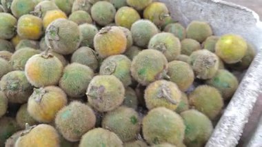 kutular dolusu yeşil solanyum tütsüsü ve solanum melongena sebze veya meyve.