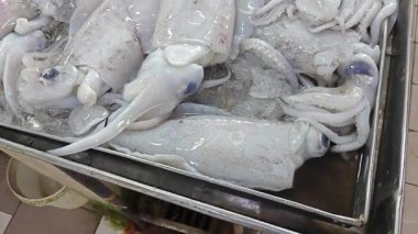 Taze loligo forbesii mürekkep balığının yakın çekimi..