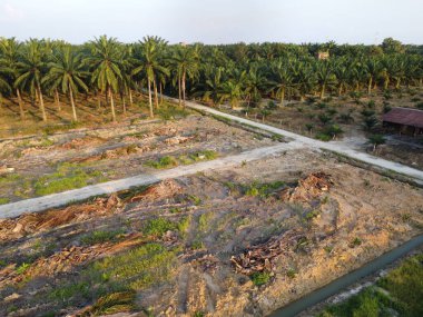 Çiftlik arazisindeki insan yapımı toprak yolların ve drenaj sisteminin hava manzarası..