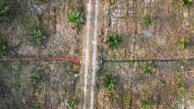 Boş tarım arazisinin temiz ya da düzleştirilmiş arazisinde insansız hava aracı uçuran bir adamın hava görüntüsü..