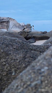 Perak, Malezya. 30 Aralık 2025: Bilinmeyen bir kadın Pangkor Adası 'nın kumlu sahil kıyısındaki kayalık kayanın etrafında duruyor.