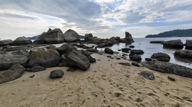 Deniz aygırı kabuğu sahildeki kayalarda ya da kayalarda sıkışıp kalmış..