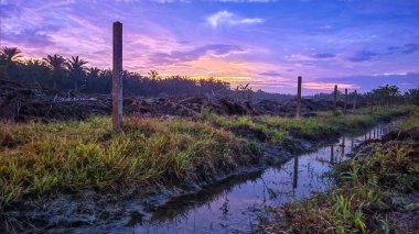Sabahın erken saatlerinde tarım sabanı manzarasına bakıyorum..