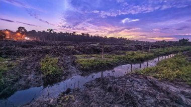 Sabahın erken saatlerinde tarım sabanı manzarasına bakıyorum..
