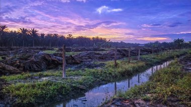 Sabahın erken saatlerinde tarım sabanı manzarasına bakıyorum..