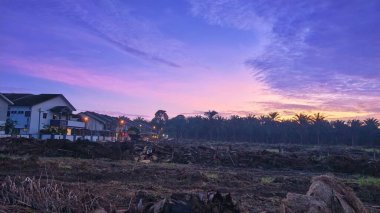 Sabahın erken saatlerinde tarım sabanı manzarasına bakıyorum..