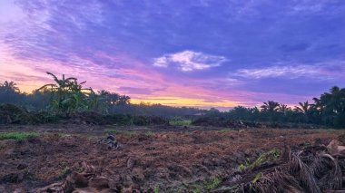 Sabahın erken saatlerinde tarım sabanı manzarasına bakıyorum..