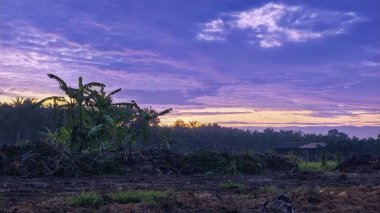 Sabahın erken saatlerinde tarım sabanı manzarasına bakıyorum..