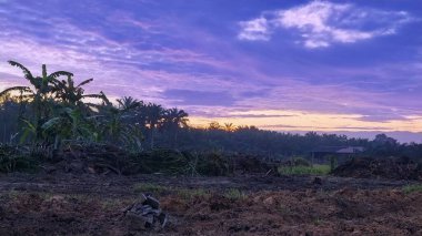 Sabahın erken saatlerinde tarım sabanı manzarasına bakıyorum..