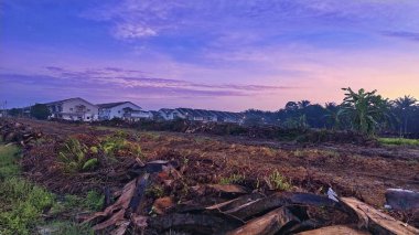 Sabahın erken saatlerinde tarım sabanı manzarasına bakıyorum..