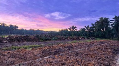 Sabahın erken saatlerinde tarım sabanı manzarasına bakıyorum..