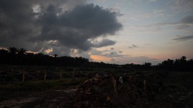 Sabahın erken saatlerinde tarım sabanı manzarasına bakıyorum..