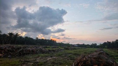 Sabahın erken saatlerinde tarım sabanı manzarasına bakıyorum..