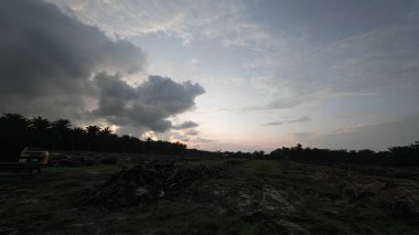 Sabahın erken saatlerinde tarım sabanı manzarasına bakıyorum..