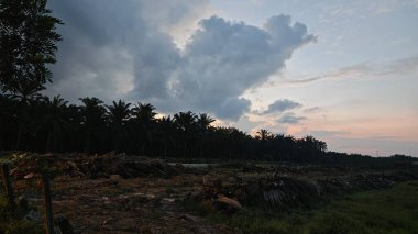 Sabahın erken saatlerinde tarım sabanı manzarasına bakıyorum..