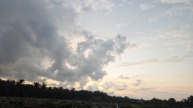 Sabahın erken saatlerinde tarım sabanı manzarasına bakıyorum..