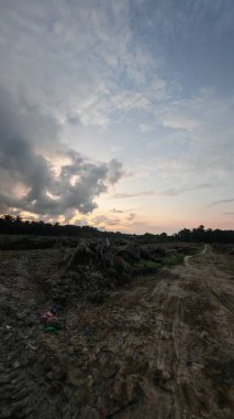 Sabahın erken saatlerinde tarım sabanı manzarasına bakıyorum..