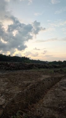 Sabahın erken saatlerinde tarım sabanı manzarasına bakıyorum..