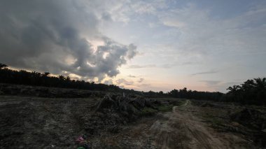 Sabahın erken saatlerinde tarım sabanı manzarasına bakıyorum..