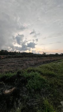 Sabahın erken saatlerinde tarım sabanı manzarasına bakıyorum..