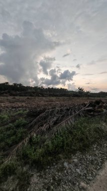 Sabahın erken saatlerinde tarım sabanı manzarasına bakıyorum..