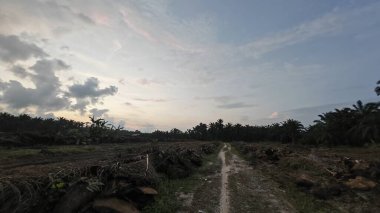 Sabahın erken saatlerinde tarım sabanı manzarasına bakıyorum..