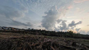 Sabahın erken saatlerinde tarım sabanı manzarasına bakıyorum..