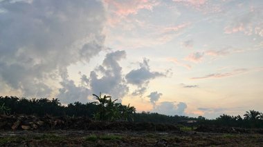 Sabahın erken saatlerinde tarım sabanı manzarasına bakıyorum..