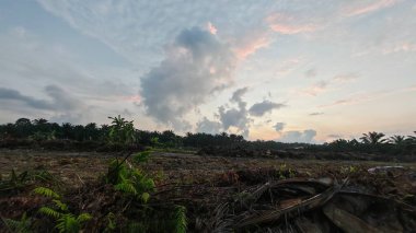 Sabahın erken saatlerinde tarım sabanı manzarasına bakıyorum..