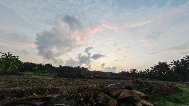 Sabahın erken saatlerinde tarım sabanı manzarasına bakıyorum..