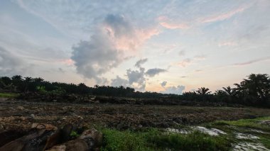 Sabahın erken saatlerinde tarım sabanı manzarasına bakıyorum..