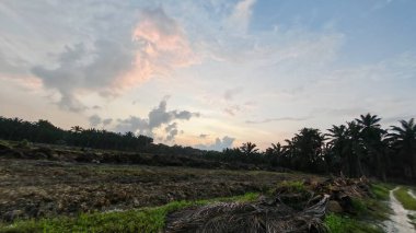 Sabahın erken saatlerinde tarım sabanı manzarasına bakıyorum..