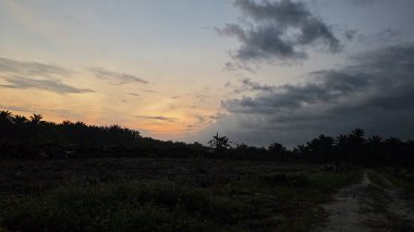 Sabahın erken saatlerinde tarım sabanı manzarasına bakıyorum..