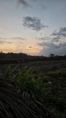 Sabahın erken saatlerinde tarım sabanı manzarasına bakıyorum..